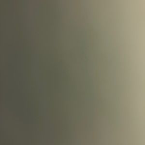 Meet your Posher, Raven